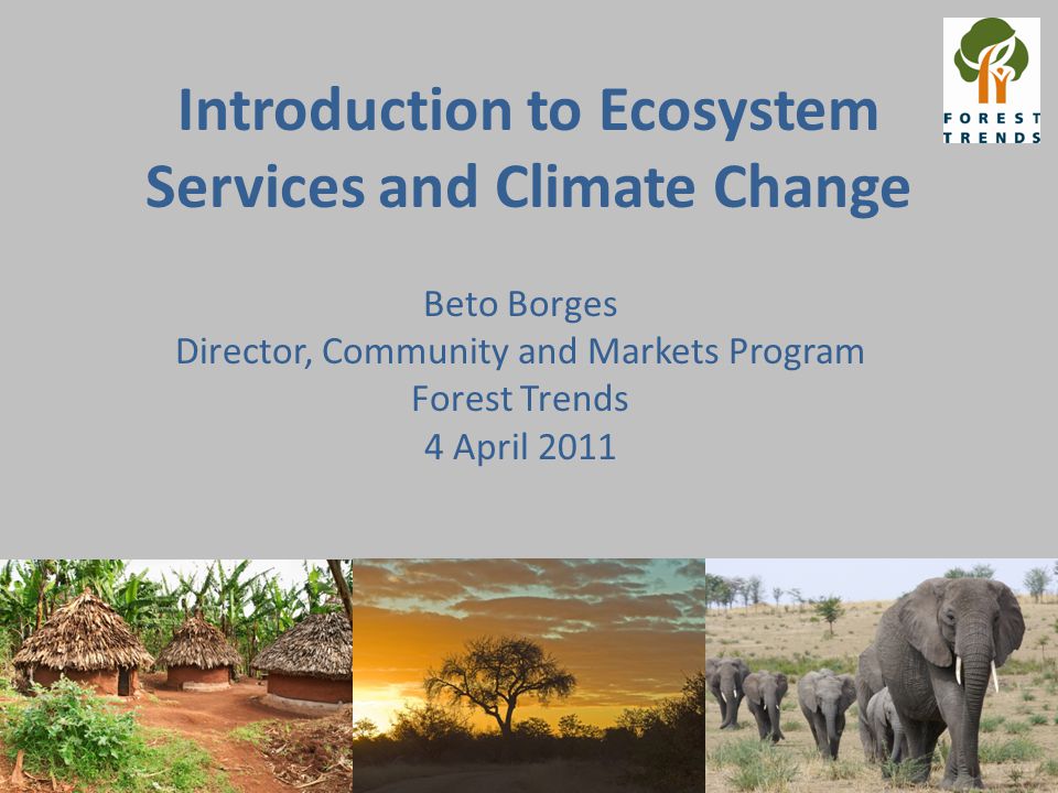 Introduction to Ecosystem Services and Climate Change Beto Borges Director, Community and Markets Program Forest Trends 4 April 2011