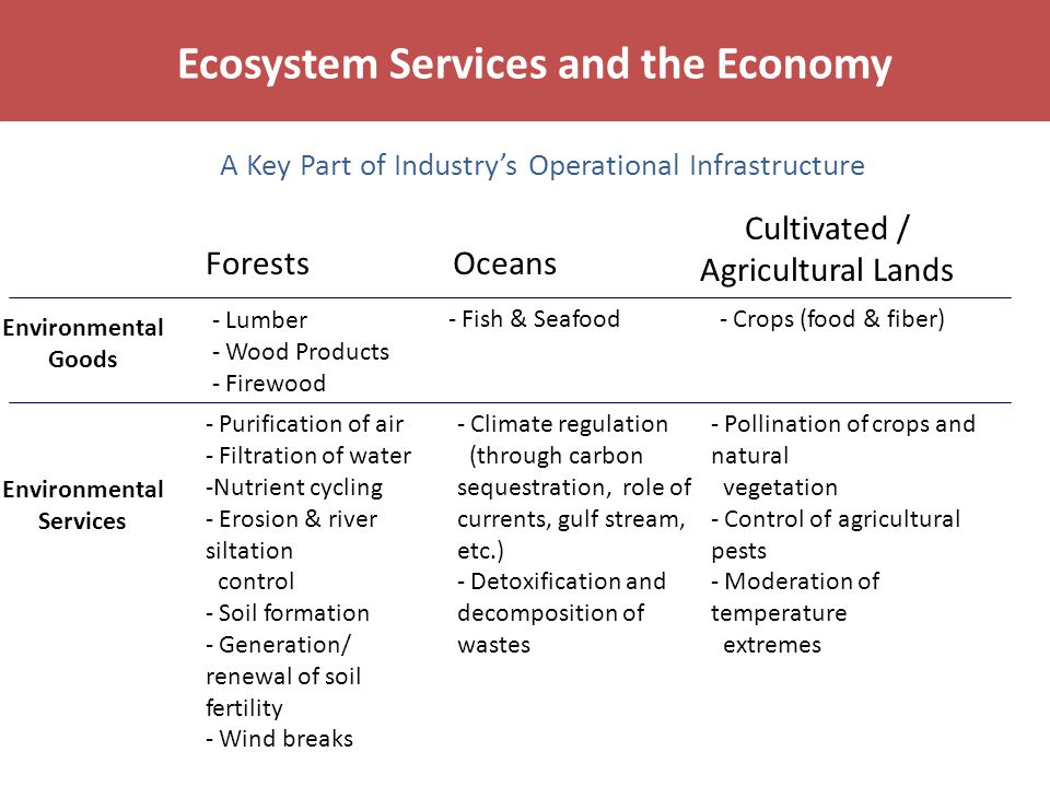 Environmental Goods Environmental Services OceansForests Cultivated / Agricultural Lands - Lumber - Wood Products - Firewood - Purification of air - Filtration of water -Nutrient cycling - Erosion & river siltation control - Soil formation - Generation/ renewal of soil fertility - Wind breaks - Fish & Seafood - Climate regulation (through carbon sequestration, role of currents, gulf stream, etc.) - Detoxification and decomposition of wastes - Crops (food & fiber) - Pollination of crops and natural vegetation - Control of agricultural pests - Moderation of temperature extremes Ecosystem Services and the Economy A Key Part of Industry’s Operational Infrastructure