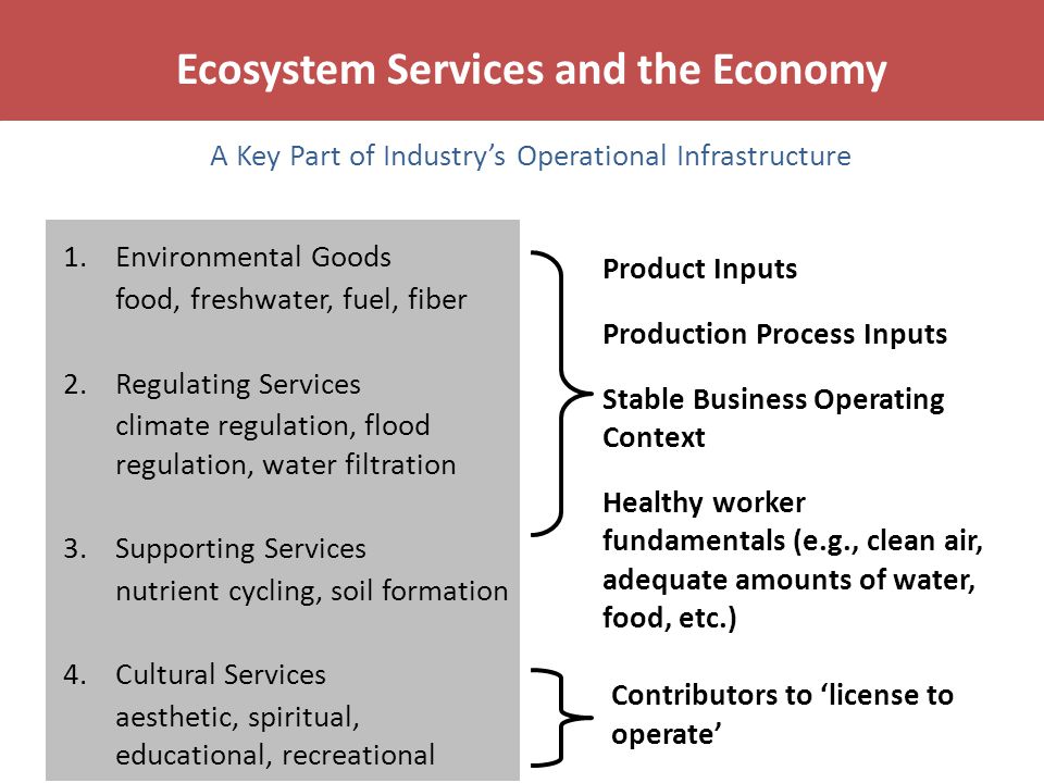Ecosystem Services and the Economy Product Inputs Production Process Inputs Stable Business Operating Context Healthy worker fundamentals (e.g., clean air, adequate amounts of water, food, etc.) Contributors to ‘license to operate’ 1.Environmental Goods food, freshwater, fuel, fiber 2.Regulating Services climate regulation, flood regulation, water filtration 3.Supporting Services nutrient cycling, soil formation 4.Cultural Services aesthetic, spiritual, educational, recreational A Key Part of Industry’s Operational Infrastructure