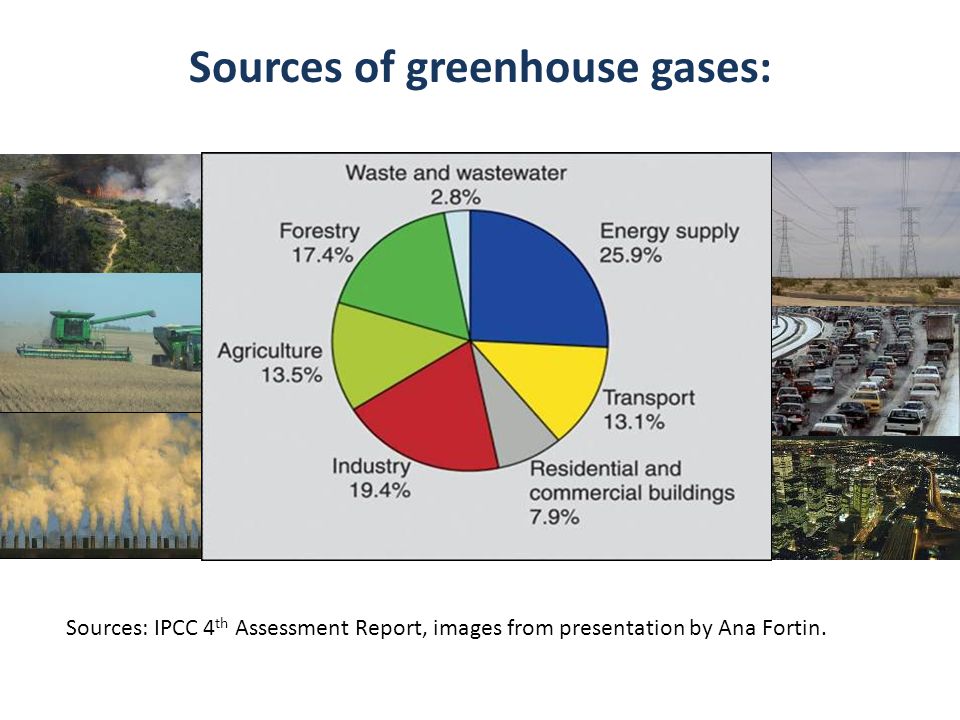 Sources of greenhouse gases: Sources: IPCC 4 th Assessment Report, images from presentation by Ana Fortin.