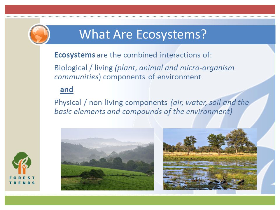Ecosystems are the combined interactions of: Biological / living (plant, animal and micro-organism communities) components of environment and Physical / non-living components (air, water, soil and the basic elements and compounds of the environment) What Are Ecosystems