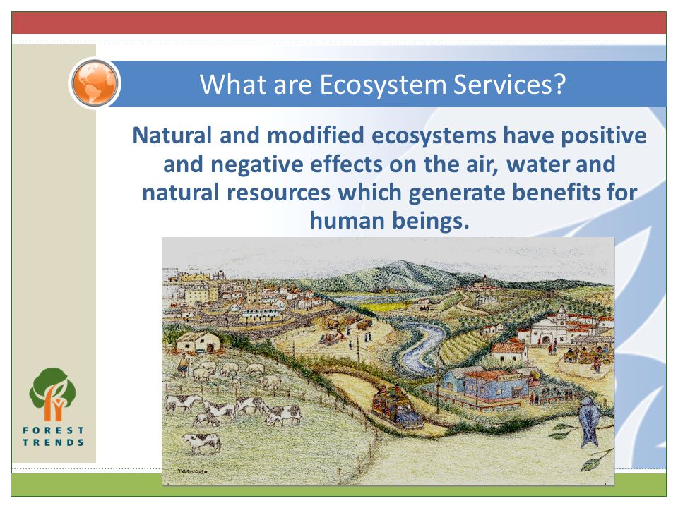 Natural and modified ecosystems have positive and negative effects on the air, water and natural resources which generate benefits for human beings.