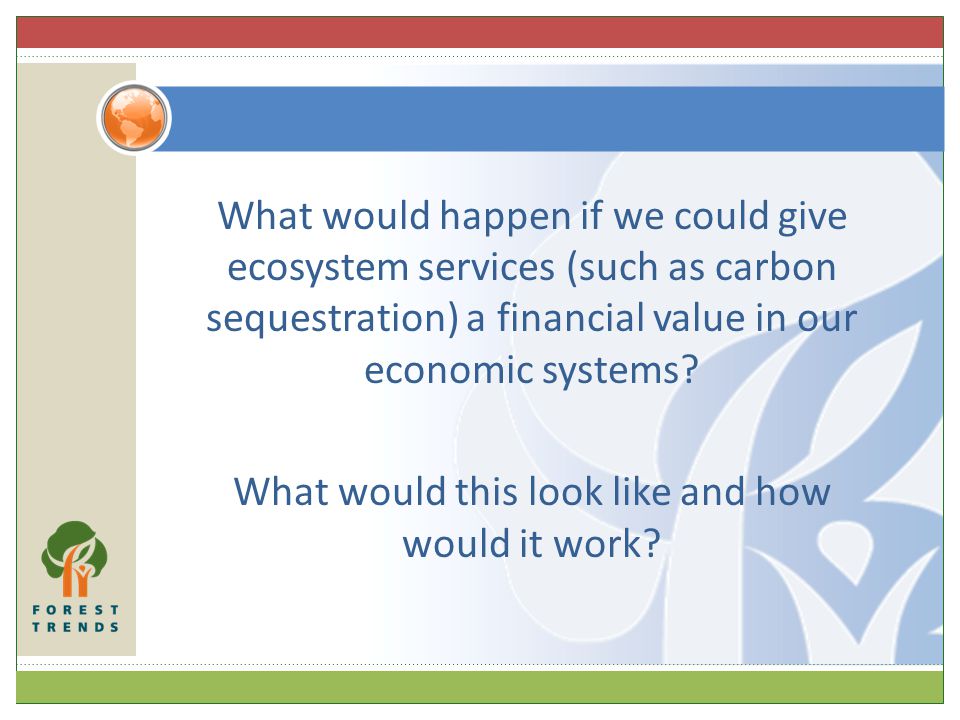 What would happen if we could give ecosystem services (such as carbon sequestration) a financial value in our economic systems.