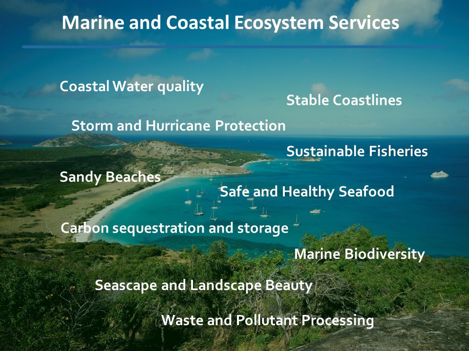 Carbon sequestration and storage Waste and Pollutant Processing Sustainable Fisheries Safe and Healthy Seafood Coastal Water quality Storm and Hurricane Protection Seascape and Landscape Beauty Marine Biodiversity Sandy Beaches Stable Coastlines Marine and Coastal Ecosystem Services