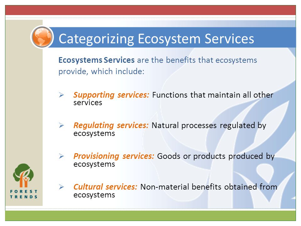 Ecosystems Services are the benefits that ecosystems provide, which include:  Supporting services: Functions that maintain all other services  Regulating services: Natural processes regulated by ecosystems  Provisioning services: Goods or products produced by ecosystems  Cultural services: Non-material benefits obtained from ecosystems Categorizing Ecosystem Services