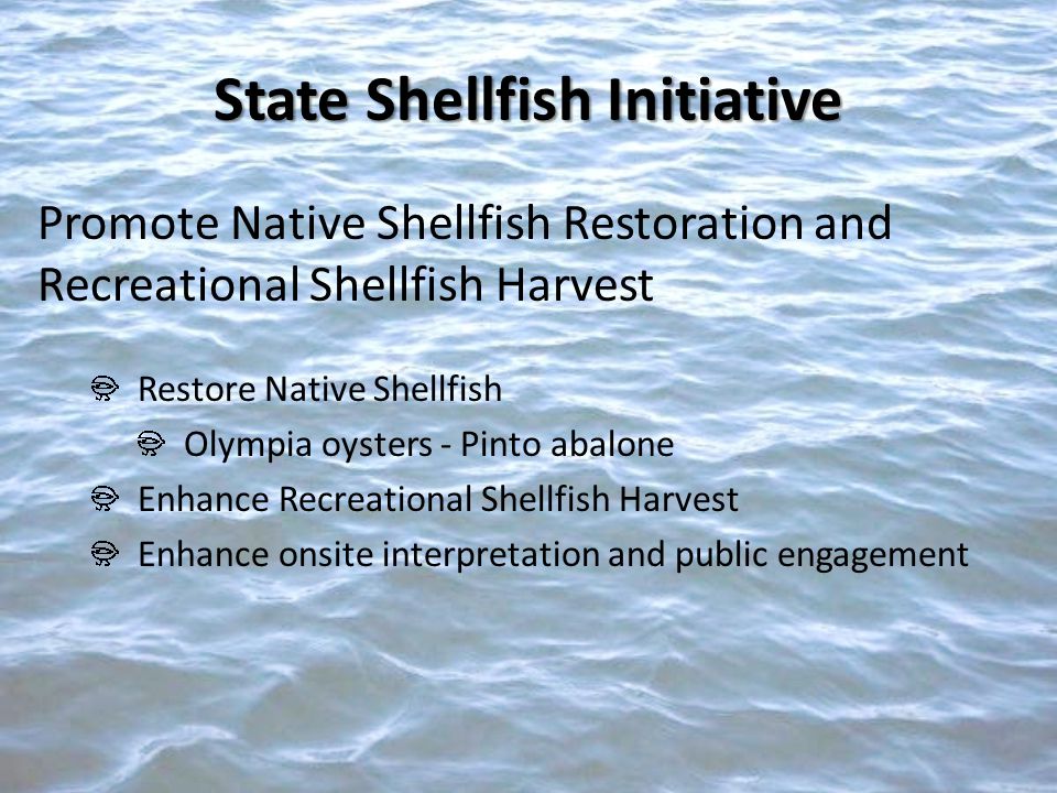 Promote Native Shellfish Restoration and Recreational Shellfish Harvest Restore Native Shellfish Olympia oysters - Pinto abalone Enhance Recreational Shellfish Harvest Enhance onsite interpretation and public engagement State Shellfish Initiative