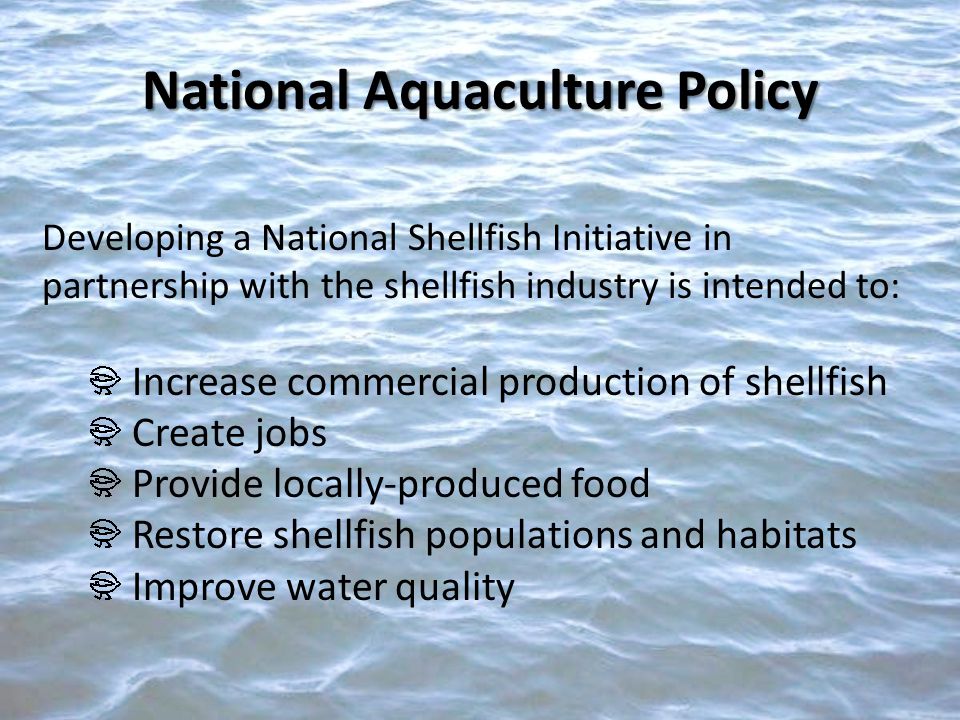 Developing a National Shellfish Initiative in partnership with the shellfish industry is intended to: Increase commercial production of shellfish Create jobs Provide locally-produced food Restore shellfish populations and habitats Improve water quality National Aquaculture Policy