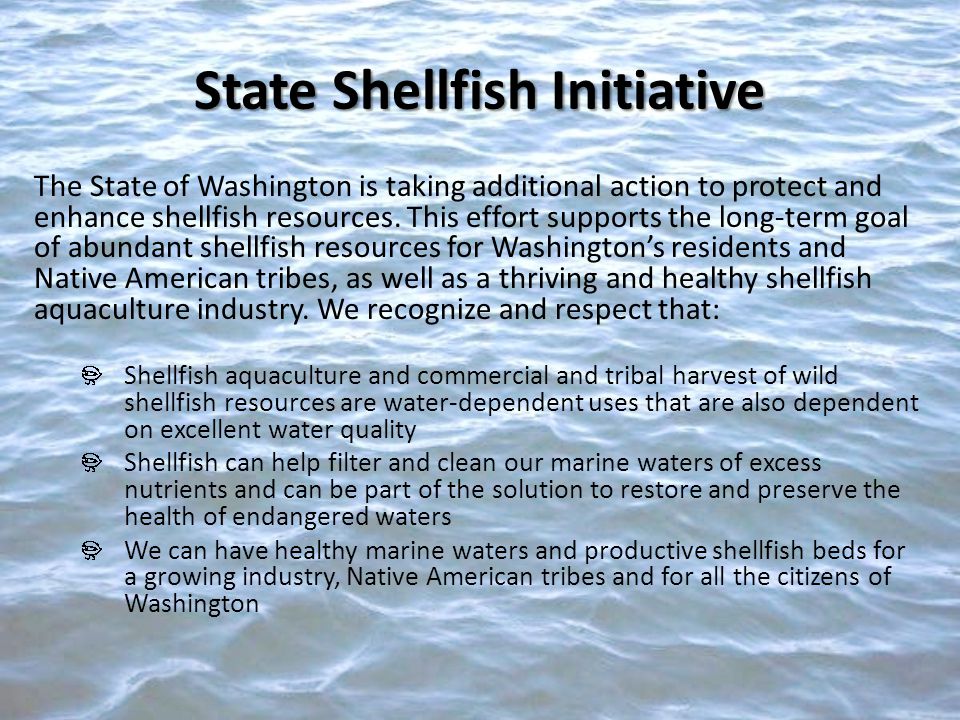 State Shellfish Initiative The State of Washington is taking additional action to protect and enhance shellfish resources.