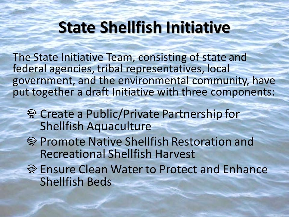 The State Initiative Team, consisting of state and federal agencies, tribal representatives, local government, and the environmental community, have put together a draft Initiative with three components: Create a Public/Private Partnership for Shellfish Aquaculture Promote Native Shellfish Restoration and Recreational Shellfish Harvest Ensure Clean Water to Protect and Enhance Shellfish Beds State Shellfish Initiative