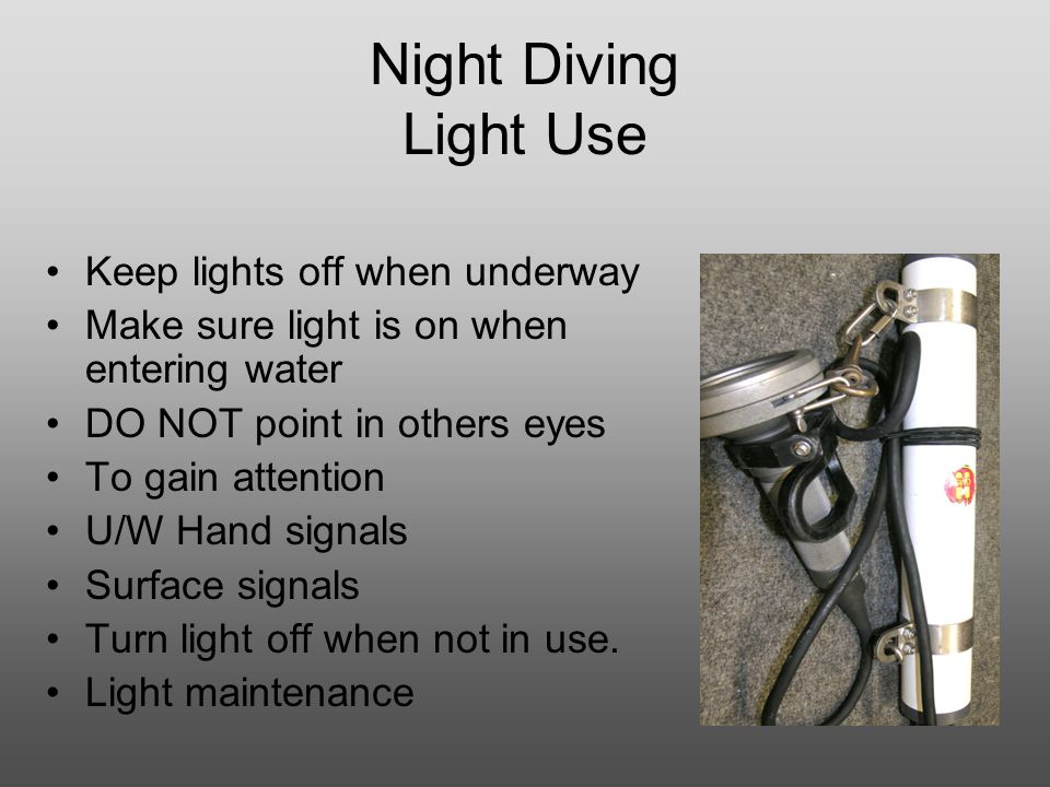 Night Diving Why dive at night? Special equipment Night diving procedures  Overview of night dive. - ppt download