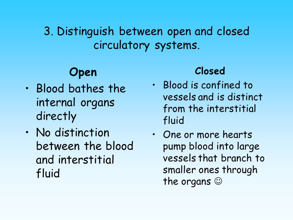 distinguish between open and closed circulatory systems