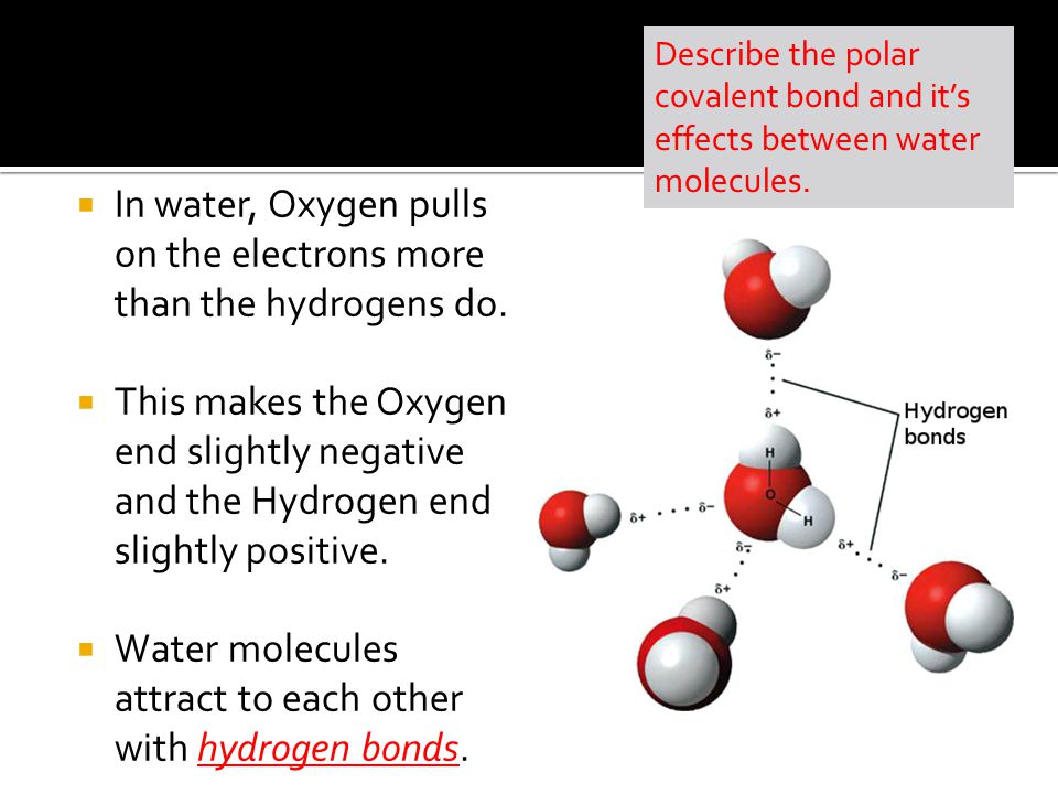 Water Molecule Dipole Moment The Polarity Of Water Affects Its Properties Causes Water To Remain Liquid At Higher Temperature Permits Ionic Compounds Ppt Download
