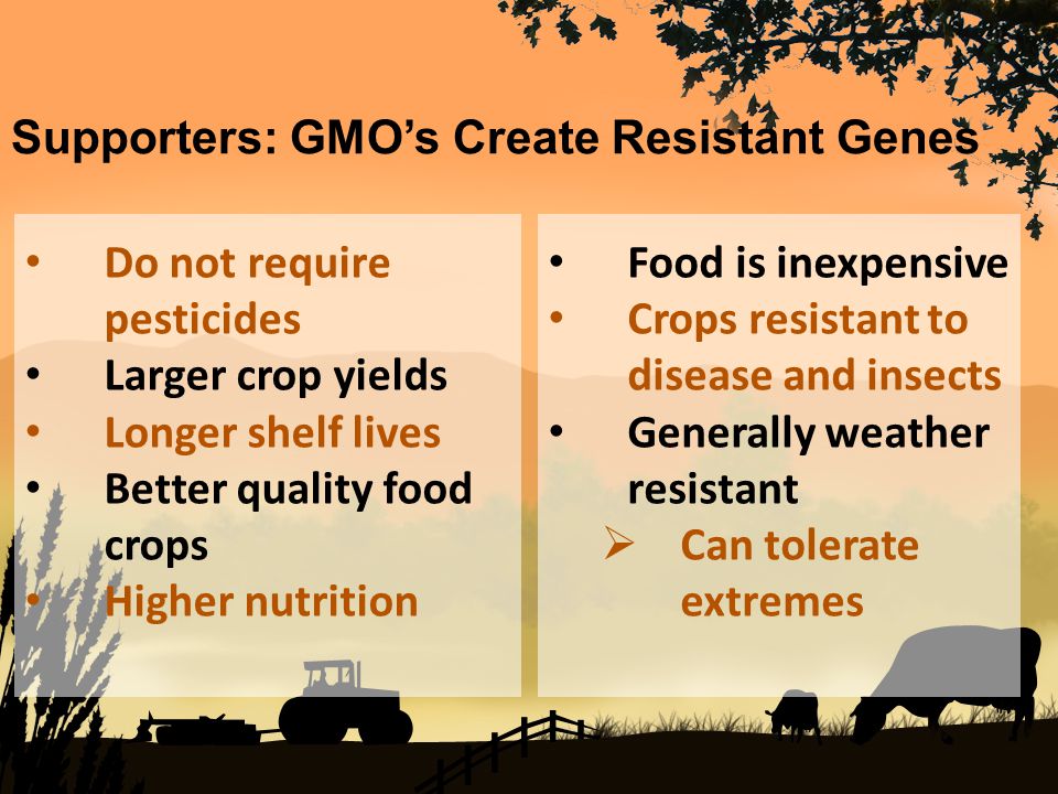 Do not require pesticides Larger crop yields Longer shelf lives Better quality food crops Higher nutrition Supporters: GMO’s Create Resistant Genes Food is inexpensive Crops resistant to disease and insects Generally weather resistant  Can tolerate extremes