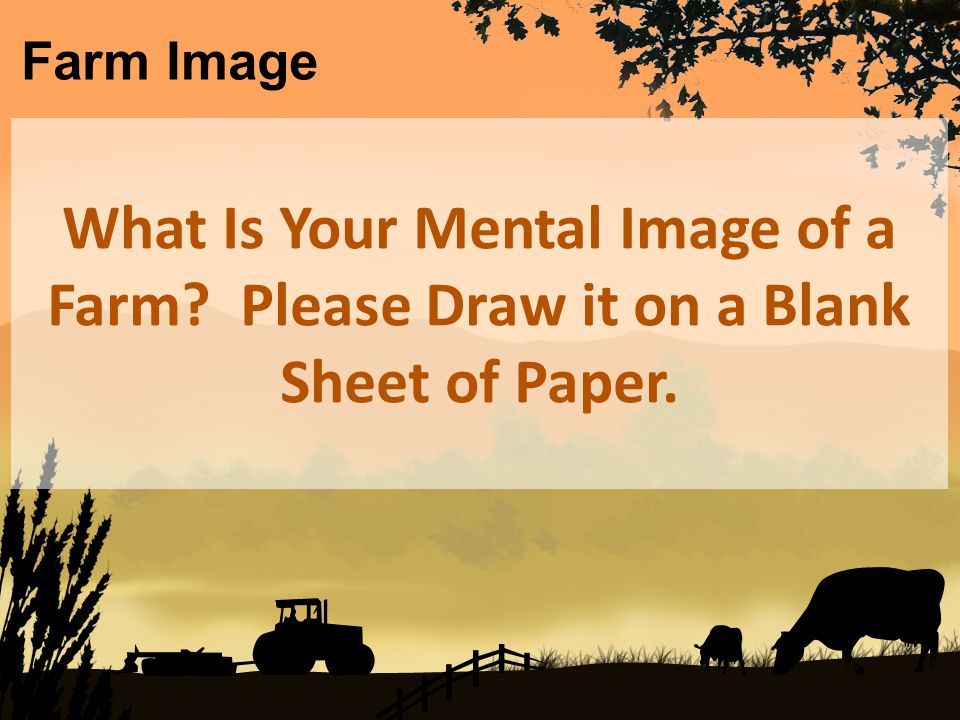 What Is Your Mental Image of a Farm Please Draw it on a Blank Sheet of Paper. Farm Image