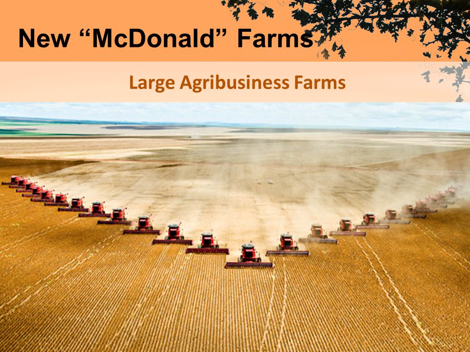 Large Agribusiness Farms New McDonald Farms