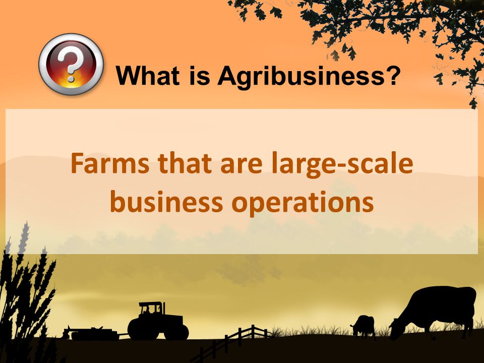 Farms that are large-scale business operations What is Agribusiness