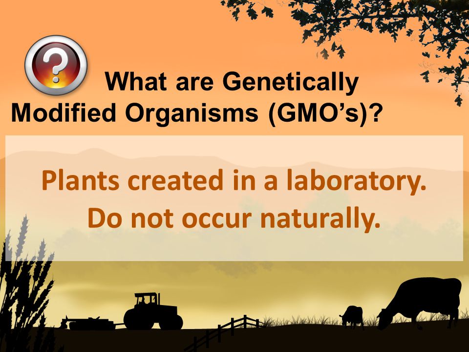 Plants created in a laboratory. Do not occur naturally.
