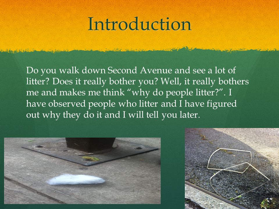 littering facts littering effects
