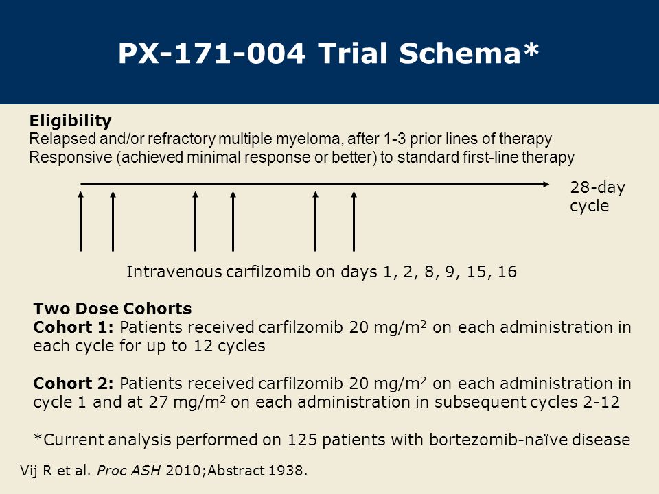 PX Trial Schema* Eligibility Relapsed and/or refractory multiple myeloma, after 1-3 prior lines of therapy Responsive (achieved minimal response or better) to standard first-line therapy 28-day cycle Intravenous carfilzomib on days 1, 2, 8, 9, 15, 16 Two Dose Cohorts Cohort 1: Patients received carfilzomib 20 mg/m 2 on each administration in each cycle for up to 12 cycles Cohort 2: Patients received carfilzomib 20 mg/m 2 on each administration in cycle 1 and at 27 mg/m 2 on each administration in subsequent cycles 2-12 *Current analysis performed on 125 patients with bortezomib-na ï ve disease Vij R et al.