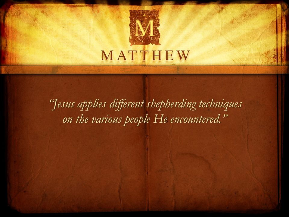 Jesus applies different shepherding techniques on the various people He encountered.