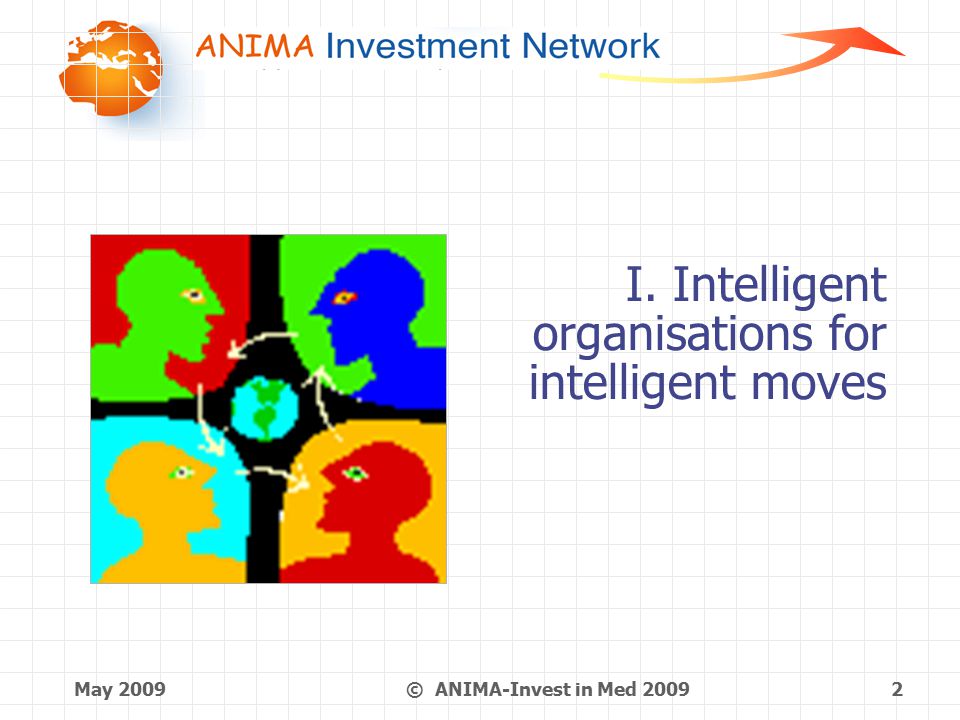 May 2009 © ANIMA-Invest in Med I. Intelligent organisations for intelligent moves