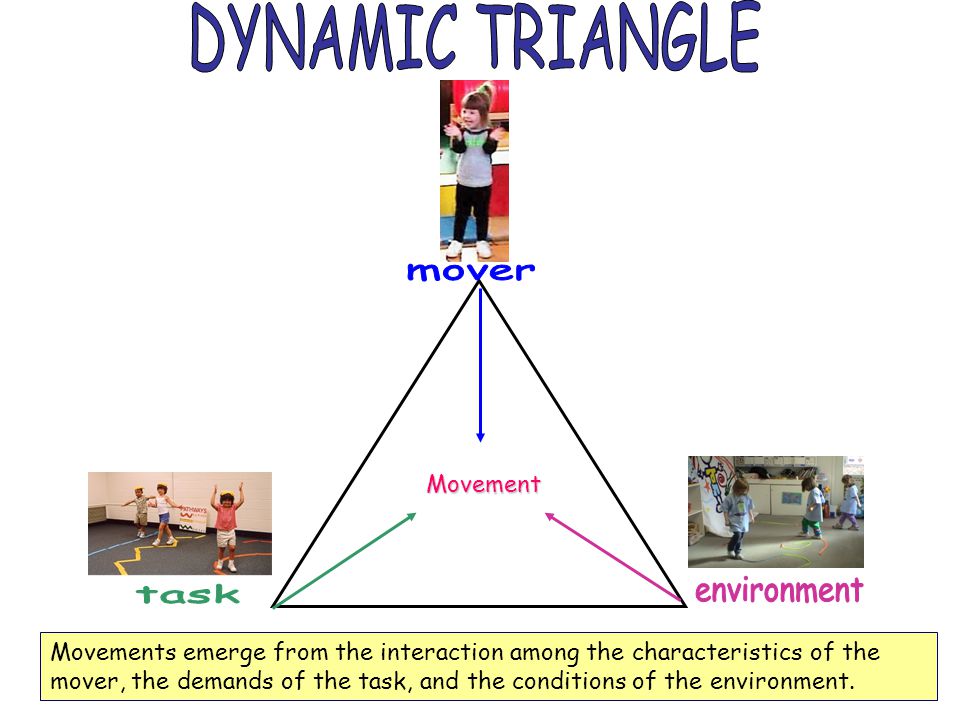 Movement Movements emerge from the interaction among the characteristics of the mover, the demands of the task, and the conditions of the environment.