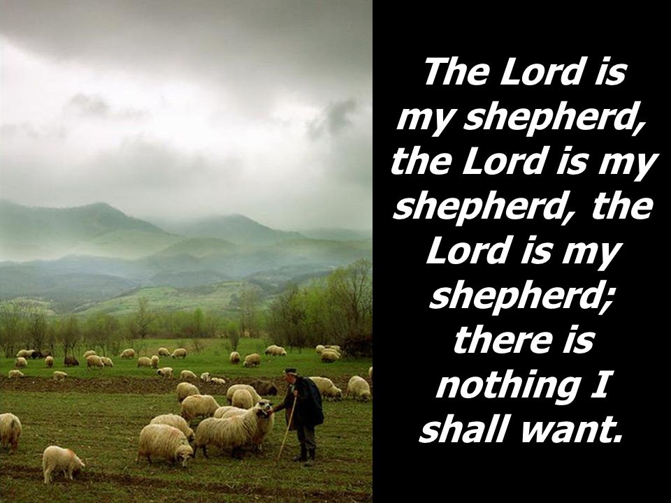 The Lord is my shepherd, the Lord is my shepherd, the Lord is my shepherd; there is nothing I shall want.