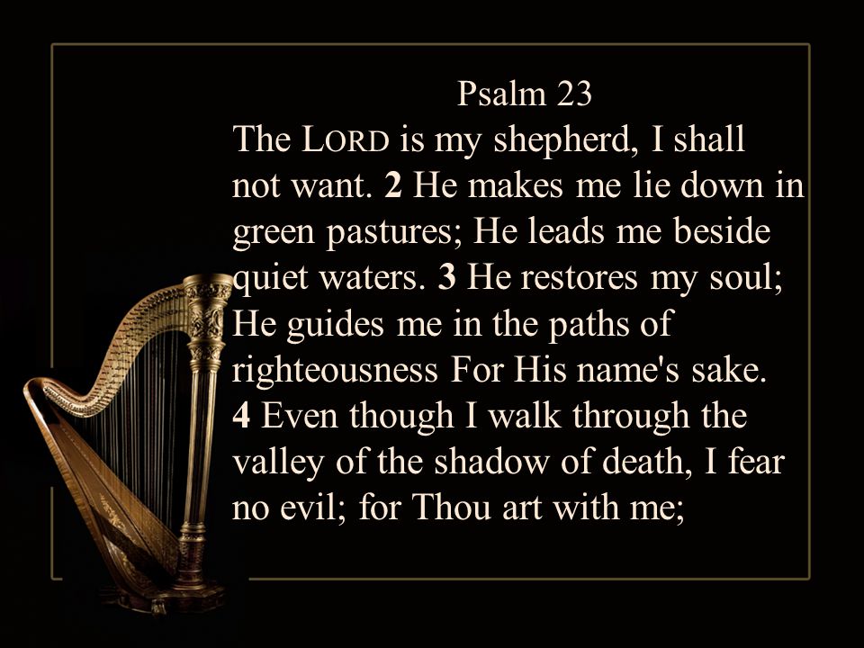 Psalm 23 The L ORD is my shepherd, I shall not want.