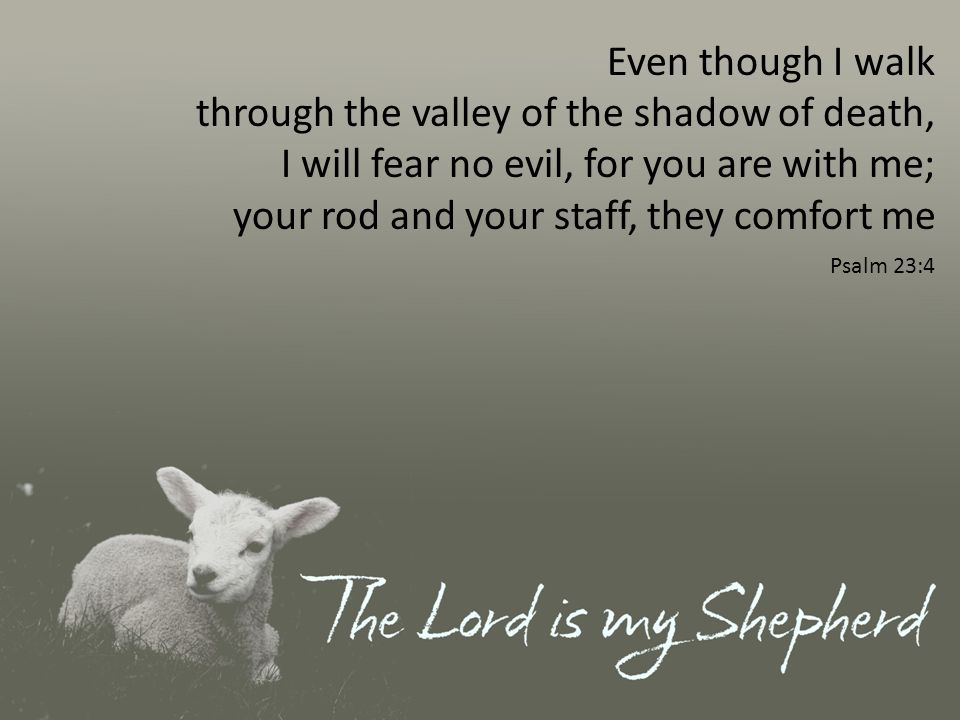 Even though I walk through the valley of the shadow of death, I will fear no evil, for you are with me; your rod and your staff, they comfort me Psalm 23:4
