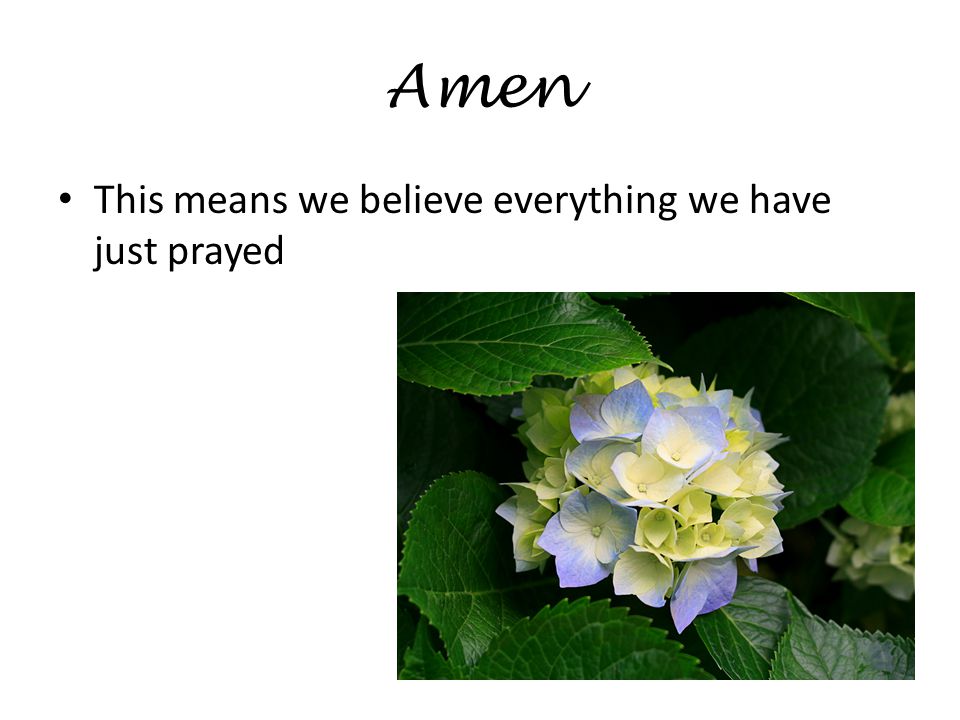 Amen This means we believe everything we have just prayed