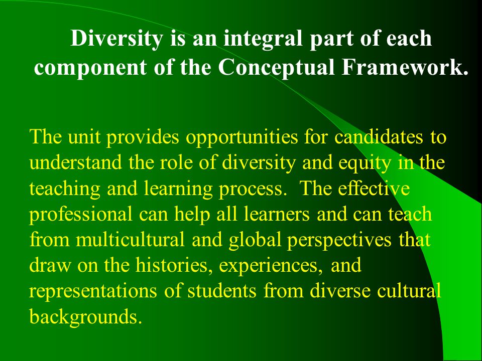 Diversity is an integral part of each component of the Conceptual Framework.
