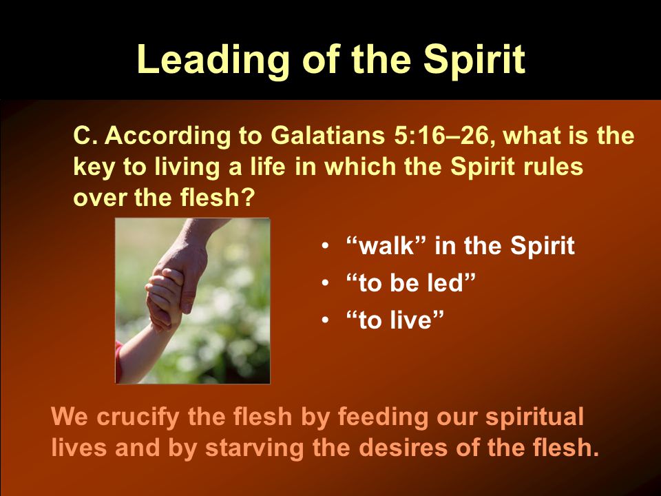 Leading of the Spirit C.