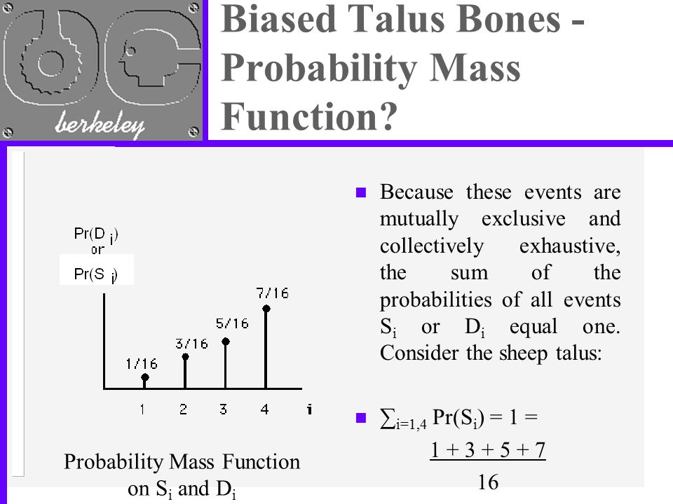 Biased Talus Bones - Probability Mass Function.