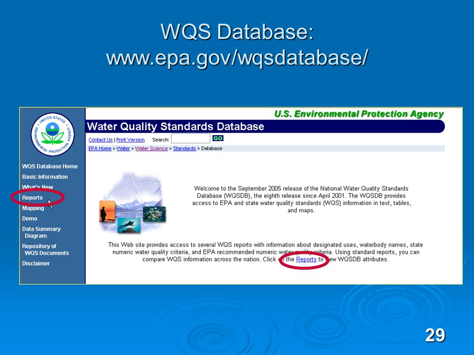 29 WQS Database: