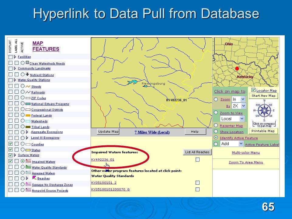 65 Hyperlink to Data Pull from Database