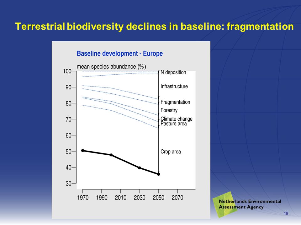 Modelling regional impacts of trends and policies19 Terrestrial biodiversity declines in baseline: fragmentation