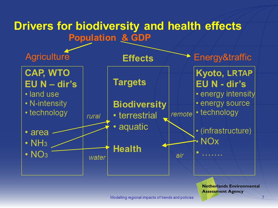 Modelling regional impacts of trends and policies7 Drivers for biodiversity and health effects CAP, WTO EU N – dir’s land use N-intensity technology area NH 3 NO 3 Targets Biodiversity terrestrial aquatic Health Kyoto, LRTAP EU N - dir’s energy intensity energy source technology (infrastructure) NOx …….