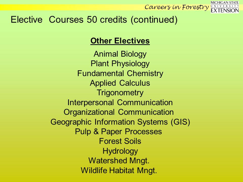 Careers in Forestry Forestry as a Career? Forestry as a Career! It starts  with a four-year university degree. There are also two-year degree  programs. - ppt download