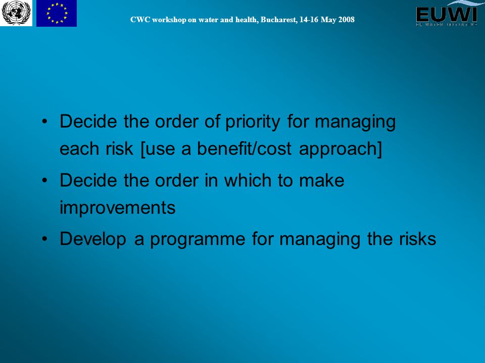 Decide the order of priority for managing each risk [use a benefit/cost approach] Decide the order in which to make improvements Develop a programme for managing the risks