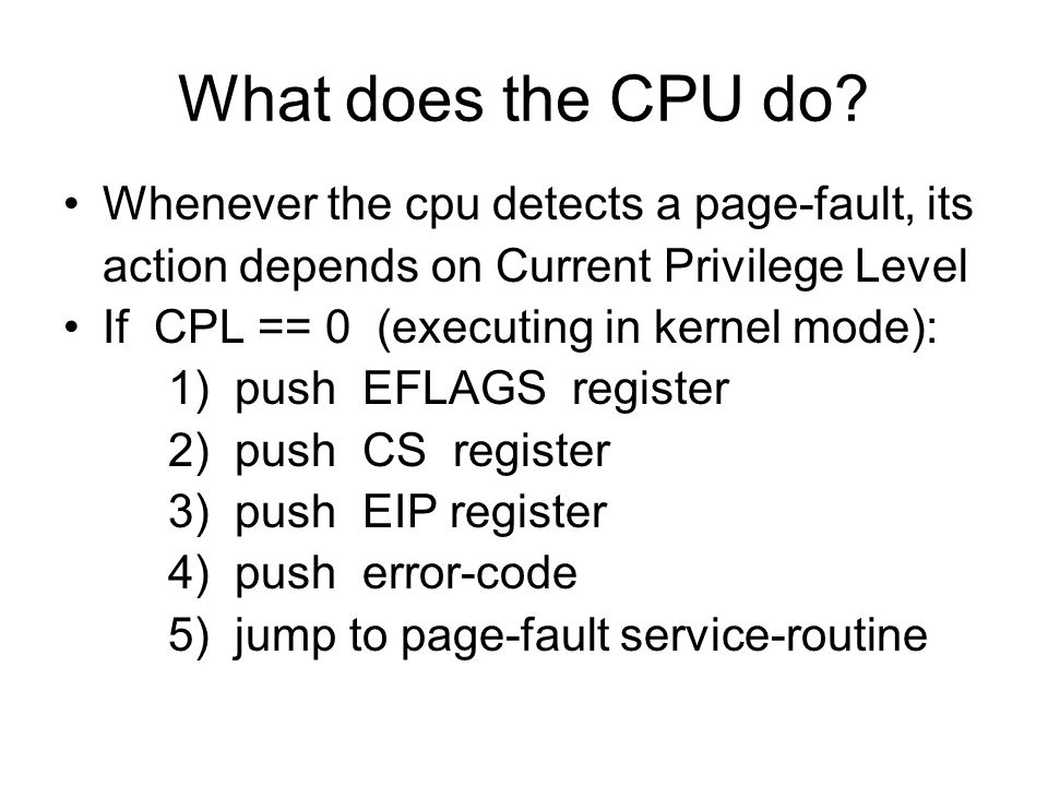 What does the CPU do.
