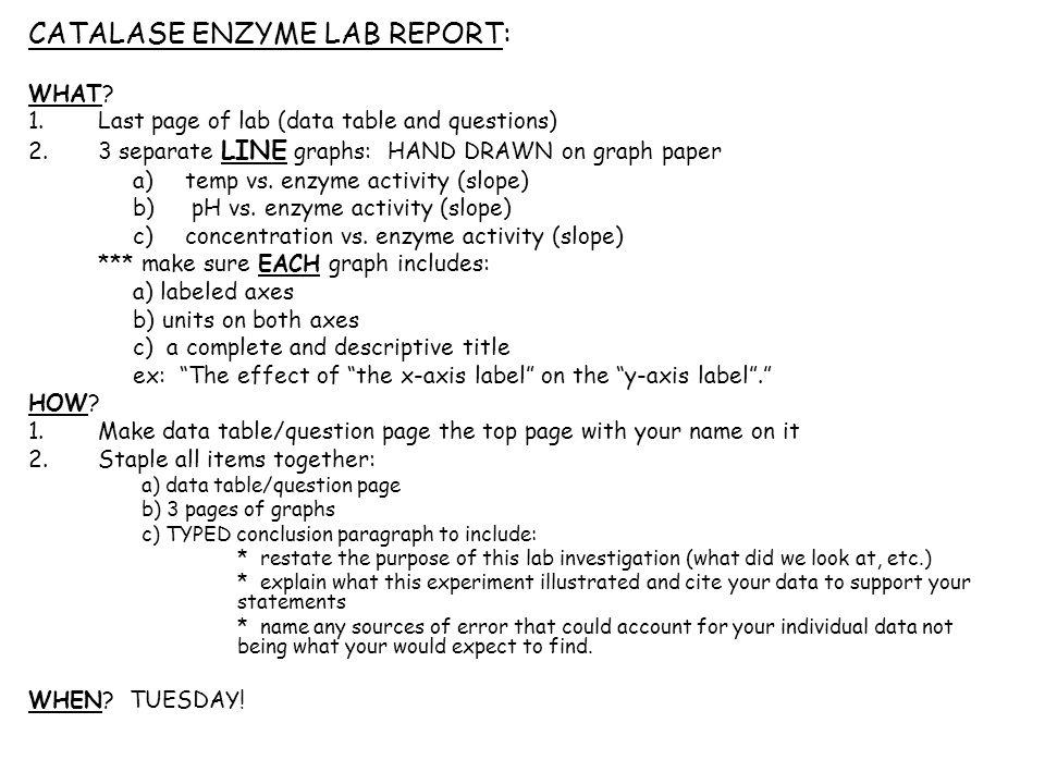 enzyme lab report