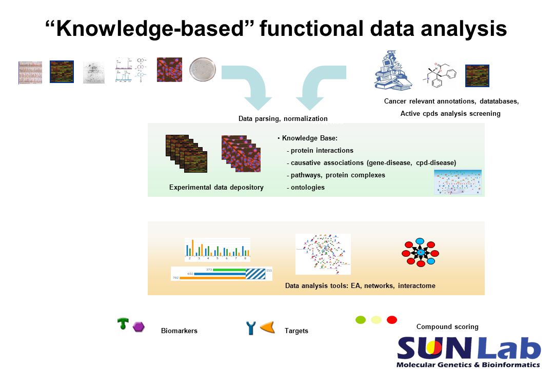 Knowledge-based functional data analysis HTS, HCS Cancer relevant annotations, datatabases, Active cpds analysis screening Knowledge Base: - protein interactions - causative associations (gene-disease, cpd-disease) - pathways, protein complexes - ontologies Experimental data depository Data parsing, normalization Data analysis tools: EA, networks, interactome Biomarkers Targets Compound scoring