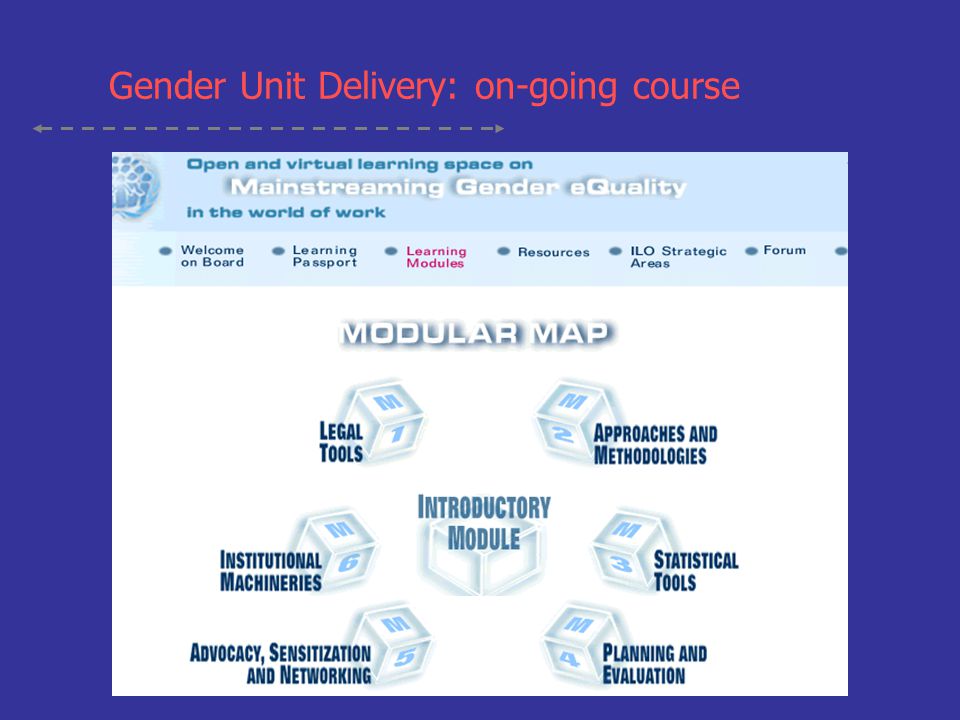 Gender Unit Delivery: on-going course