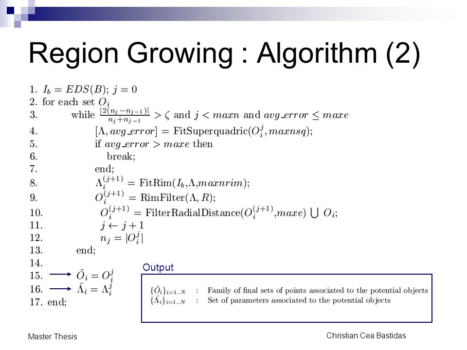 Christian Cea Bastidas Master Thesis Region Growing : Algorithm (2) Output