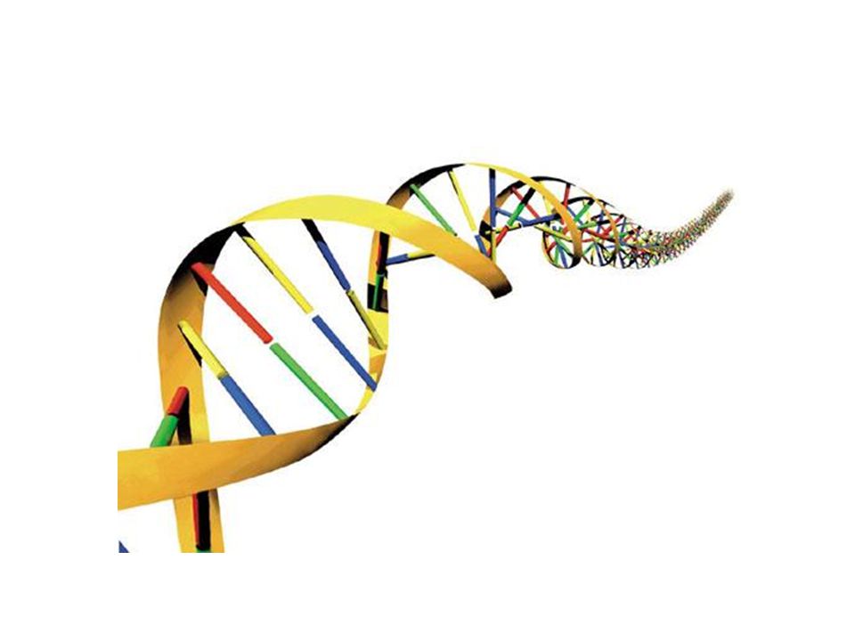 Evolution systems. Wildlife DNA Analysis.