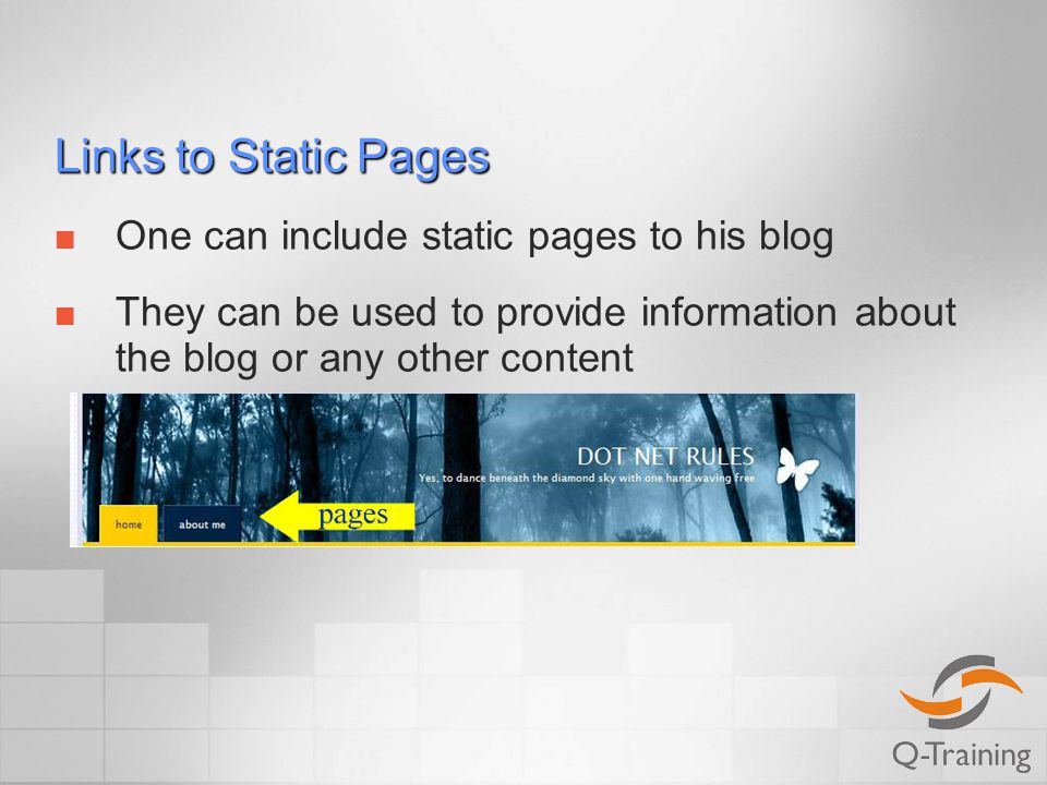 Links to Static Pages One can include static pages to his blog They can be used to provide information about the blog or any other content