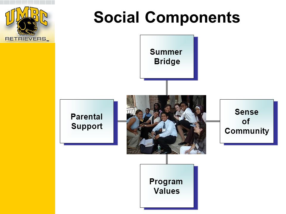 Social Components