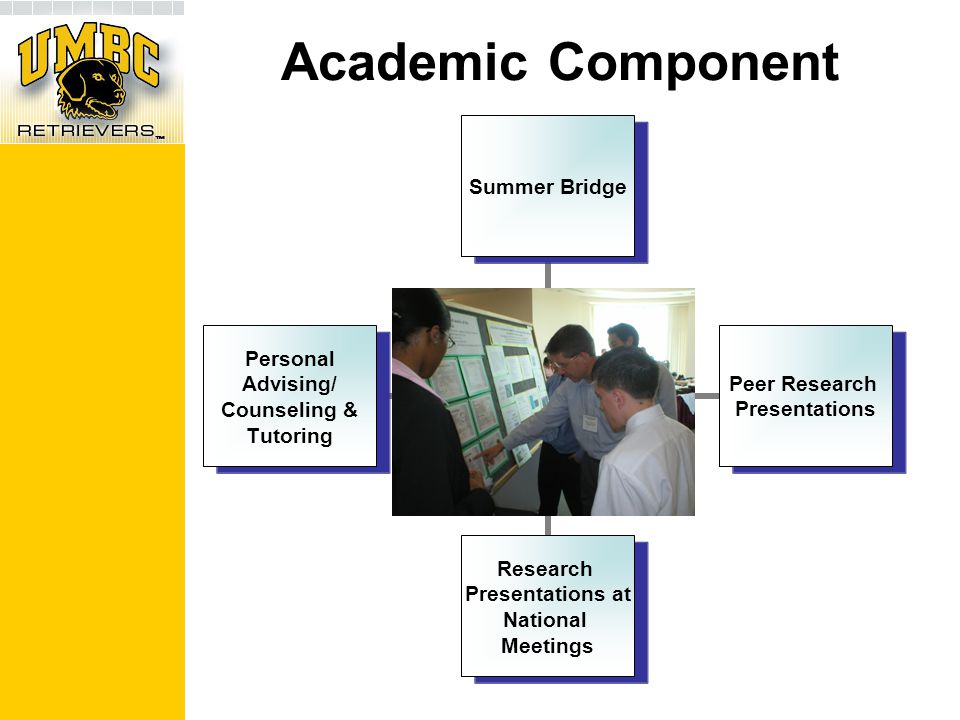 Academic Component Summer Bridge Peer Research Presentations Research Presentations at National Meetings Personal Advising/ Counseling & Tutoring