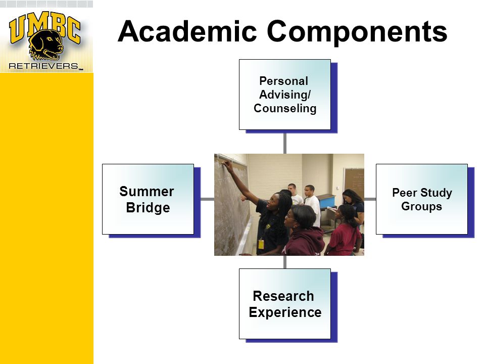 Academic Components