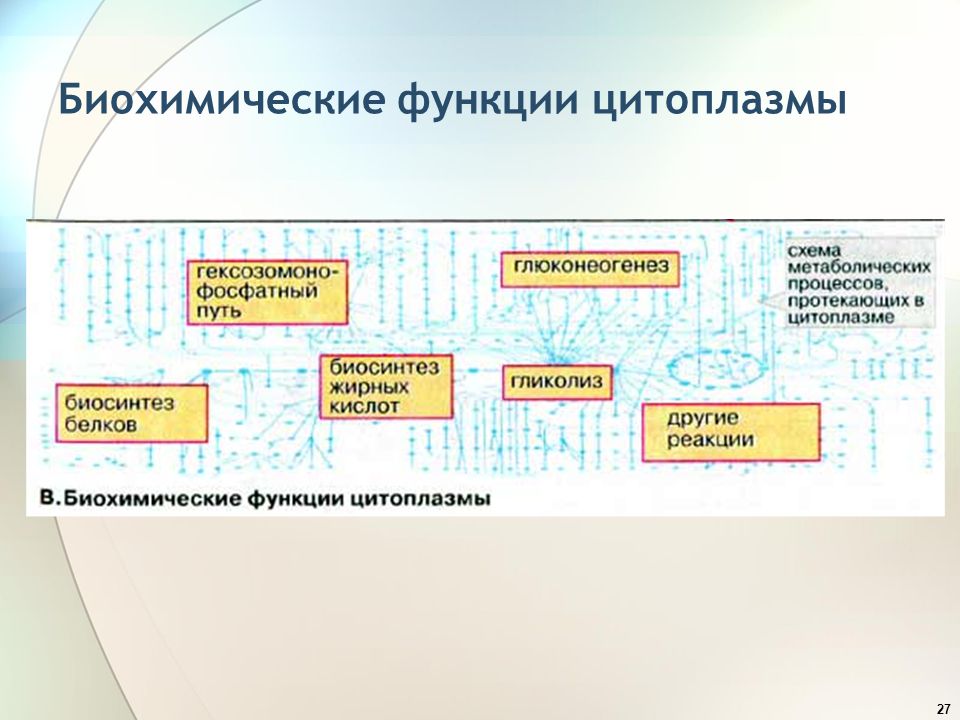 По новой схеме протекает процесс протекают процессы